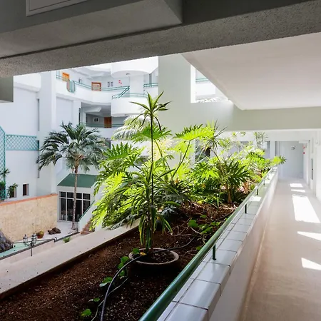 דירה Palm Breeze Retreat - La Caleta *